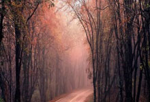 金年会jinnianhui首页：女球迷采访：爱着海因克斯的拜仁铁粉，她即将踏上高考的考场.