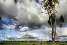 jinnianhui金年会：【新闻特写】创新赋能 “绿色”亚冬.