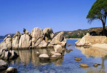 金年会：CBA常规赛：辽宁本钢胜新疆伊力特.